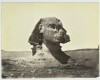 Sphinx 1867