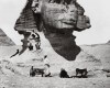 Sphinx 1970
