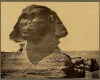 Sphinx 1881