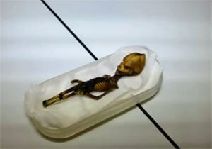 Mimozemšťan z púšte Atacama