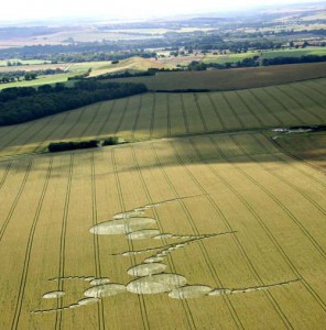 East Field、Alton Priors、Wiltshire、Englandの大規模なパターンサークル。 小麦フィールドに、推定された領域96,600平方フィート（29.444 m2）または2,25エーカー（0,9のHA）は150 mを横切って非常に独特な設計サイズ315 mおよび幅を形成150環である。ルーシープリングル2007©空中像。