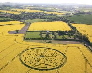 The 92 meter unit, at 1,5 m high rape near Wilton Windmill in Wiltshire, England, first reported around noon on Saturday, 22. May 2010 pilot Busty Taylor Aerial shot © Lucy Pringle 2010. Photos and information provided by: Cropcircleconnector.com