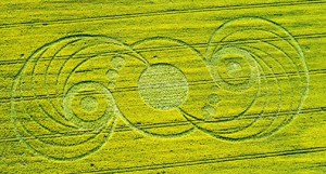エイムズベリーのストーンヘンジ、ウィルトシャー、9を発表 May 2010上記の航空写真©Chris Bird、2010。 写真と提供者：Cropcircleconnector.com